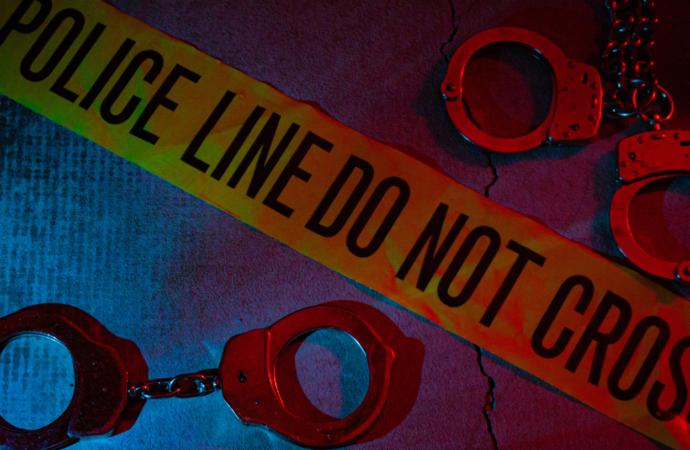 Polda Jateng Gagalkan Penyelundupan 52 Kendaraan ke Timor Leste Hari Ini