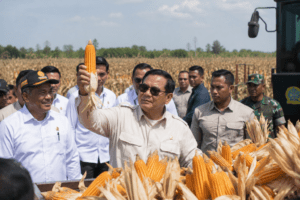 Prabowo Klaim Swasembada Beras dan Jagung Capai Kemajuan dalam 19 Bulan