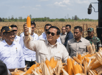 Prabowo Klaim Swasembada Beras dan Jagung Capai Kemajuan dalam 19 Bulan