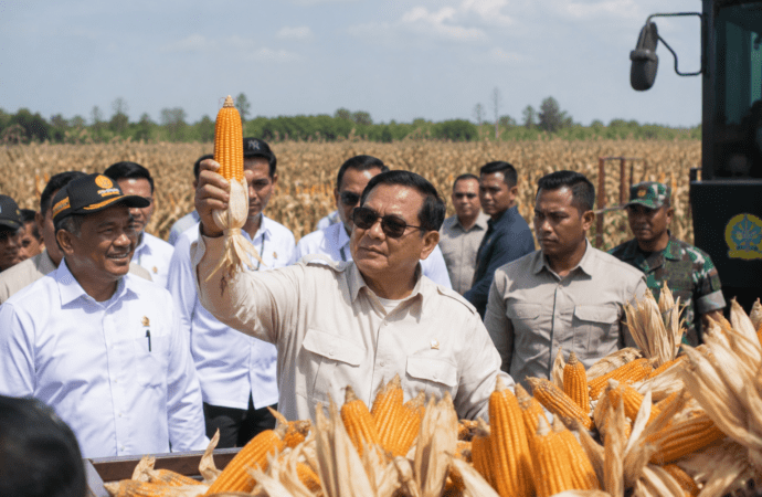 Prabowo Klaim Swasembada Beras dan Jagung Capai Kemajuan dalam 19 Bulan