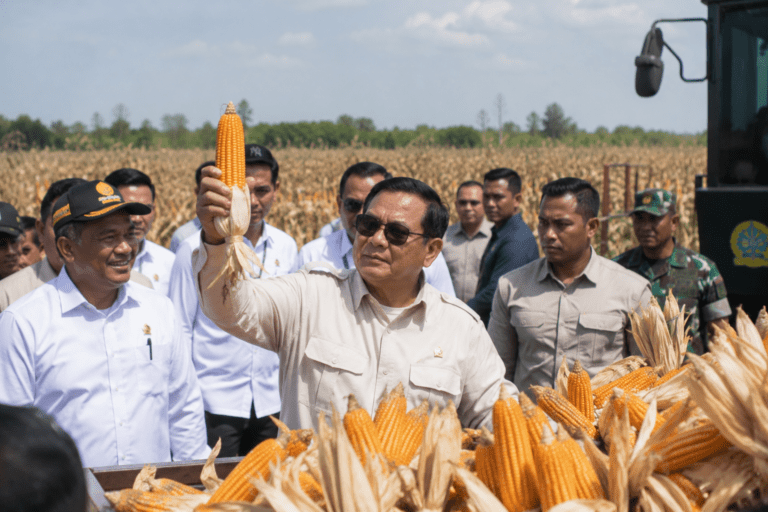 Prabowo Klaim Swasembada Beras dan Jagung Capai Kemajuan dalam 19 Bulan