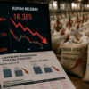 Rupiah Melemah, Margin Emiten Poultry seperti CPIN dan JPFA Tertekan