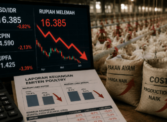 Rupiah Melemah, Margin Emiten Poultry seperti CPIN dan JPFA Tertekan