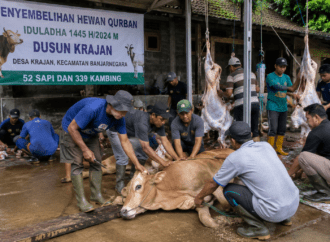 Dusun Krajan Banjarnegara Potong 52 Sapi dan 339 Kambing saat Iduladha
