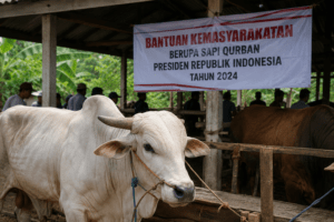 DPR Jelaskan Bantuan Kurban Prabowo Gunakan APBN untuk Kepentingan Masyarakat