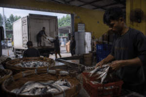 Ekonomi Sulawesi Selatan Tumbuh 6,88 Persen, Masuk Enam Besar Nasional