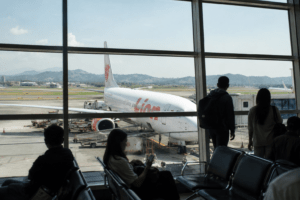 Pembebasan PPN Tiket Pesawat Dinilai Mampu Dorong Mobilitas dan Pertumbuhan Ekonomi