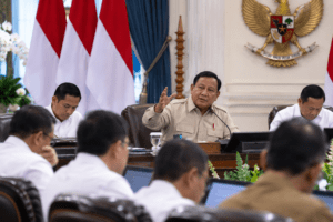 Prabowo puji Danantara pangkas 250 BUMN dalam 18 bulan